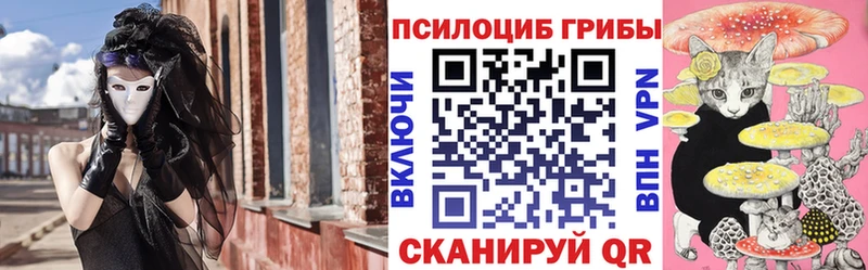 KRAKEN как зайти  Талдом  Галлюциногенные грибы Cubensis  где найти  